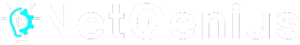 NetGenius IT logo