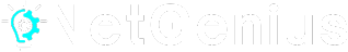 NetGenius IT logo